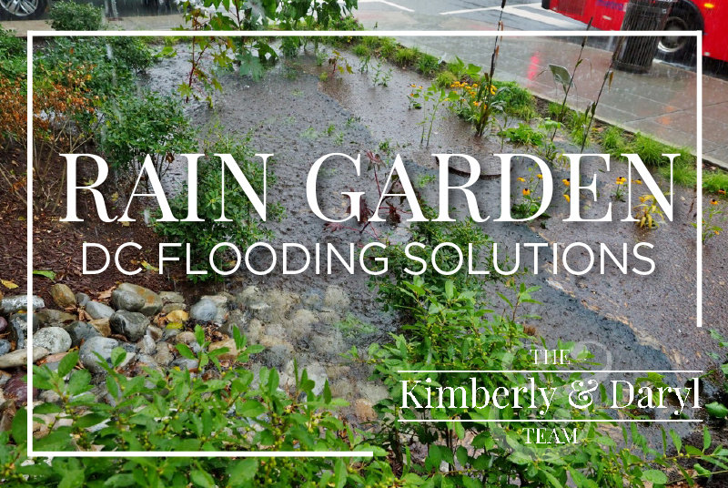 Flooding Solutions